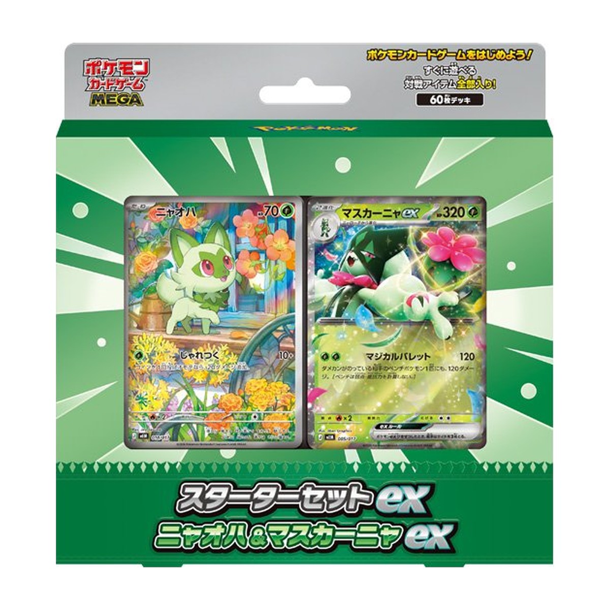 Starter Set ex